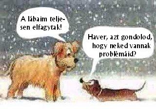 Kutya hideg. Viccesen komoly!